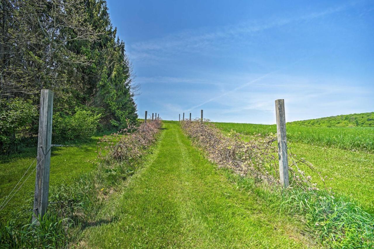 Country Escape With Sauna, 10 Mi To Cooperstown Richfield Springs Εξωτερικό φωτογραφία