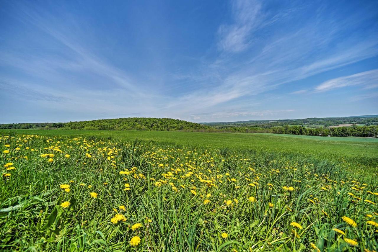 Country Escape With Sauna, 10 Mi To Cooperstown Richfield Springs Εξωτερικό φωτογραφία