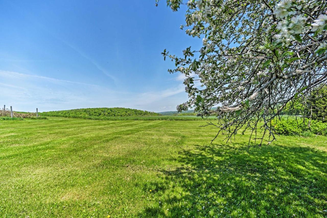 Country Escape With Sauna, 10 Mi To Cooperstown Richfield Springs Εξωτερικό φωτογραφία